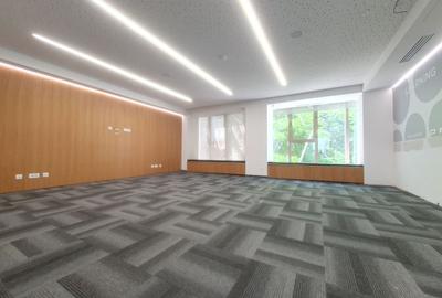 Birou, de 125 mp, în Floreasca - 6