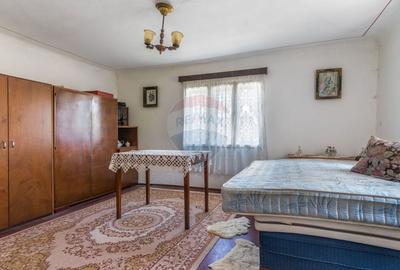 Casa cu gradina de vanzare in Copaceni - 11