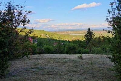 Teren de 1765 mp, în Podgoria - 1