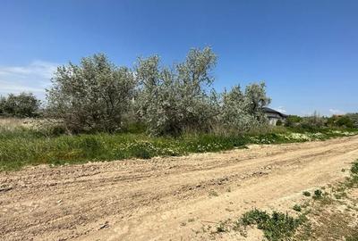 TEREN INTRAVILAN DESTINATIE REZIDENTIALA. TEREN INTRAVILAN DESTINATIE REZIDENTIALA. - 5