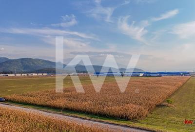 Teren industrial 6100 mp. cu PUZ in Cristian BV - 9