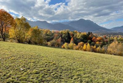 Teren intravilan loturi intre 500 si 1000 m la 14 km de Rasnov - 4