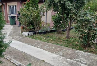 Casă cu 4 camere cu Teren 836 Mp în Ghighiu - 9