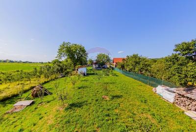 Casă cu 3 camere cu Teren 1732 Mp în Merișor - 2