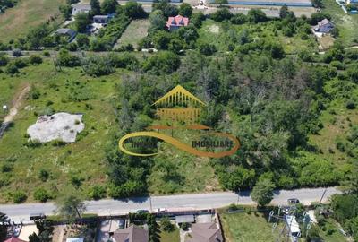 Teren de vanzare in Bacau - 11