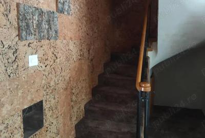 Casă cu 5 camere cu Teren 243 Mp în Herăstrău - 5