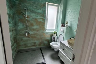 Casa individuala cuplata ,172 mp utili , zona Teilor - 15