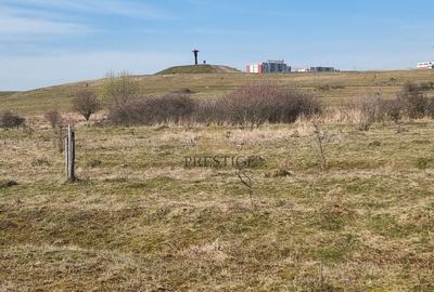 Teren agricol extravilan de 1000 mp, în Șelimbăr - 5