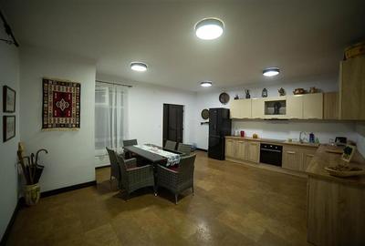 De vanzare 2 vile deosebite cu activitate hoteliera in zona turistica din jud. M - 10