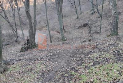 Teren de 1000 mp, în Merei - 2