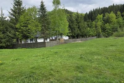Casă cu Teren 2000 Mp în Mălini - 14