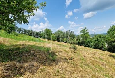 Teren Construcții intravilan de 4600 mp, în Zorilor - 5
