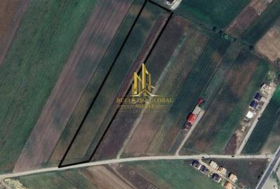 Teren de 12800 mp, în Sfântu Ilie - 3