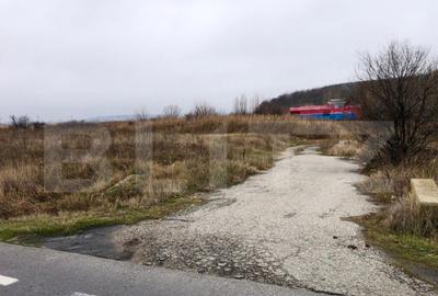 Teren intravilan industrial, 41.000 mp, front 117 m, I?alni - 3