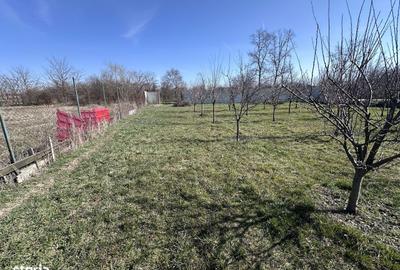 Spațiu comercial, în Mischii - 1