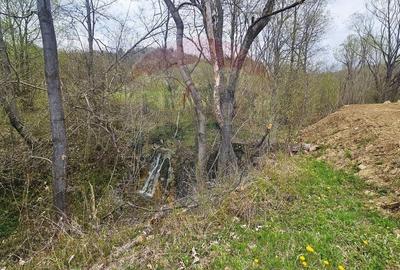 Teren Construcții intravilan de 2910 mp, în Chirițeni - 16