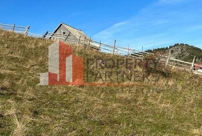 Teren Fundatica intravilan 4500 mp - 10