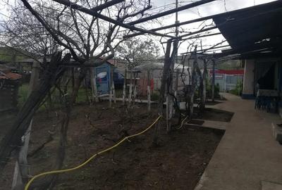 Casă cu 3 camere în Balabancea - 7