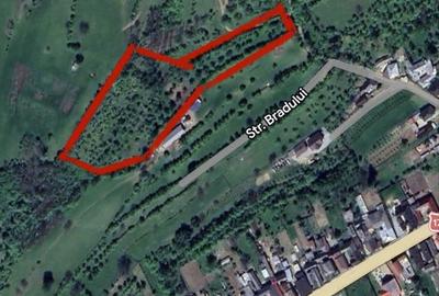 Spațiu comercial, în Salva - 1