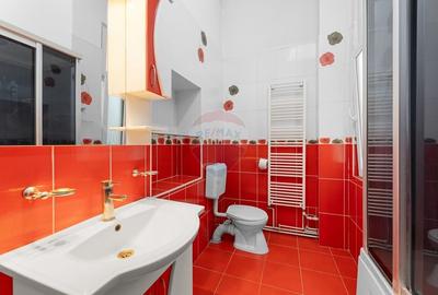 Casa spatioasa de inchiriat pe Malul Muresului - 7