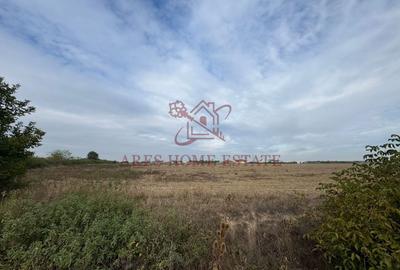 Teren parcelabil cu toate utilitatile 7.257 mp Moșnița Nouă – 20 €/mp - 4