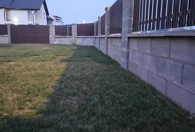 Duplex pe parter in Mosnita pe strada cu noul Lidl - 3