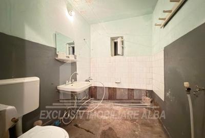 Apartament cu 2 camere în Cetate - 4