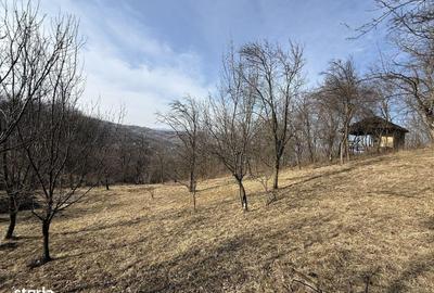 Spațiu comercial, în Central - 4