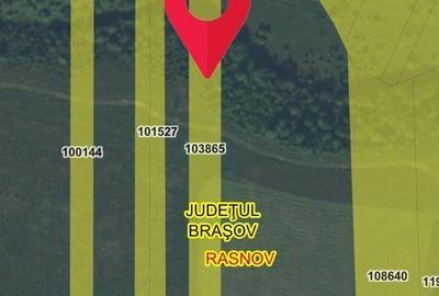 Teren de 10000 mp, în Pănicel - 3