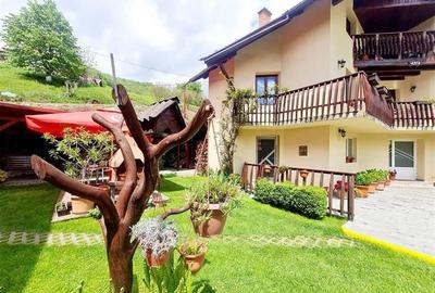 FILM!  Moieciu de Jos, Bran, pensiune in conditii apreciabile - 25