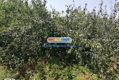 Casă în Toporu - 1