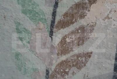 De vanzare conac boieresc, anul 1880, 3 ha teren, 1200 mp co - 3