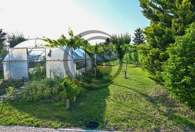 Casa cu piscina de vanzare | 3.300 mp teren | Urlati - Prahova - 22