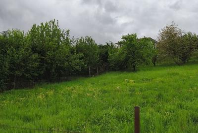 Teren de 950 mp, în Borhanci - 2