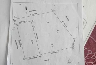 Teren de 1050 mp, în Priseaca - 3