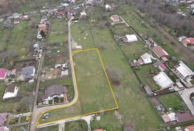 Teren de 3750 mp, în Voila - 3