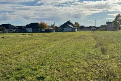 Teren de 20000 mp, în Bozânta Mare - 3