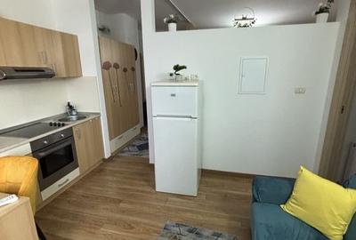Apartament 1 cameră generos zona Complex - 11