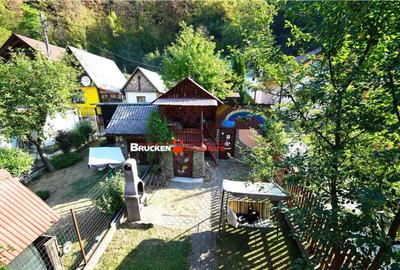 LOCUINTA TA DE VIS IN PADUREA NEAGRA - 1