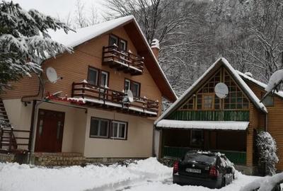 Pensiune turistica (afacere la cheie) Lepsa - 29