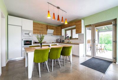 Casă cu 5 camere cu Teren 1087 Mp în Vladimirescu