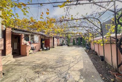 Pache Protopopescu | PROTV | Vizibilitate |  Curte 250 mp | Garaj - 7