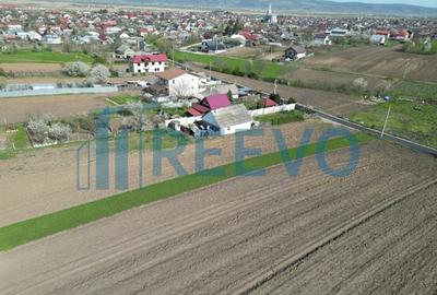 Teren de vânzare, Com. Nicolae Bălcescu, Jud. Bacău - 14