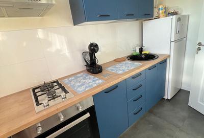 Cartier Brancusi ANL Coloana infinitului - 7