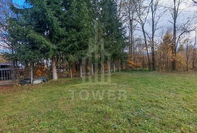 Teren de vanzare in reprezentare exclusiva, situat pe Valea Avrigului! - 4