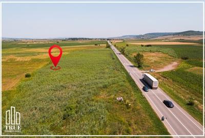 Teren extravilan de vânzare, 4.02ha - 40272m?, Gornești! - 11