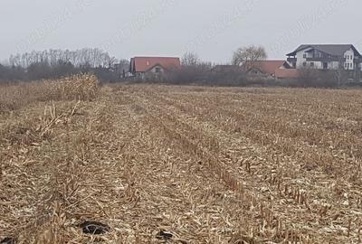 Teren de 2932 mp, în Stupini - 2