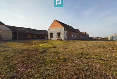 Teren și hale pe calea Aradului în Periam - 4