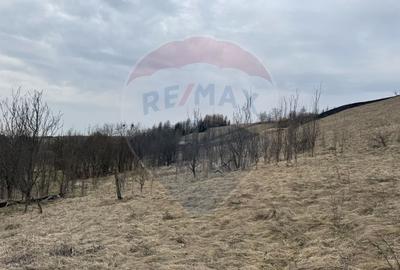 Teren Construcții intravilan de 2307 mp, în Sălicea - 12