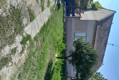 Casă cu 5 camere cu Teren 3800 Mp în Central - 1